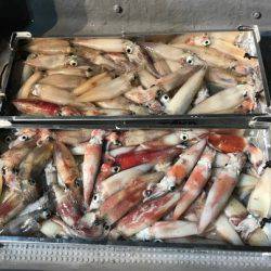 South Current 釣果