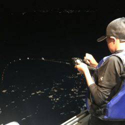 South Current 釣果