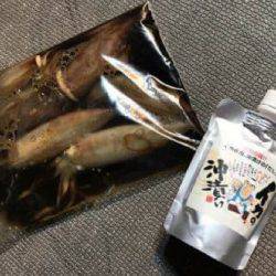 South Current 釣果