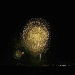 South Current 釣果