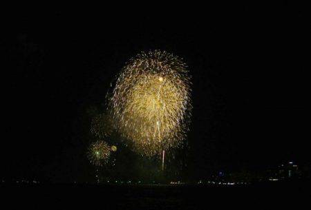 South Current 釣果