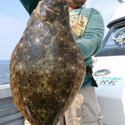 ブルースフィッシングサービス 釣果