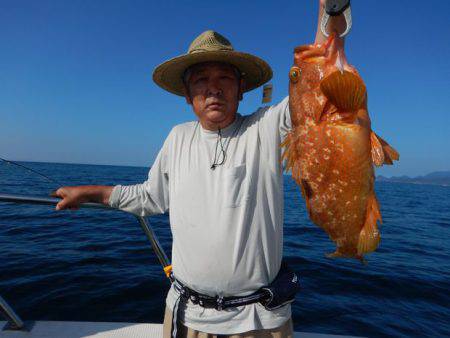 LUSTER『ラスター』 釣果