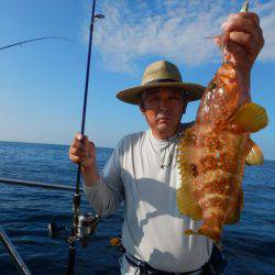 LUSTER『ラスター』 釣果