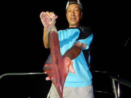 LUSTER『ラスター』 釣果