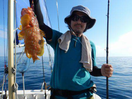 LUSTER『ラスター』 釣果