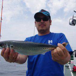 Big One　ビッグワン 釣果