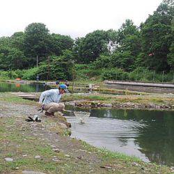 つりぼりあかし 釣果