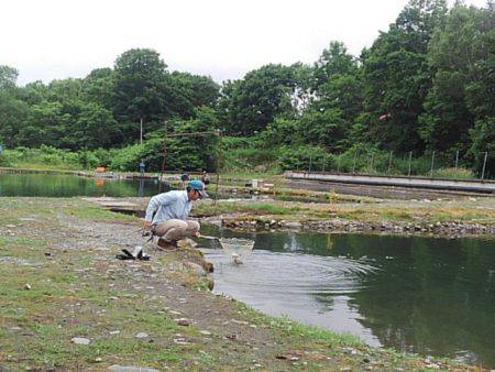 つりぼりあかし 釣果