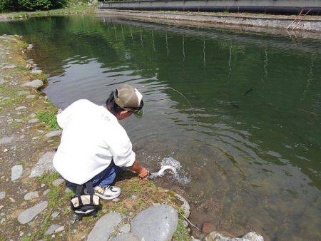 つりぼりあかし 釣果
