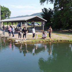 つりぼりあかし 釣果