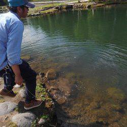 つりぼりあかし 釣果