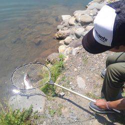 つりぼりあかし 釣果