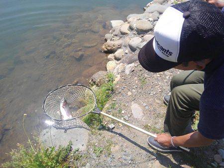 つりぼりあかし 釣果