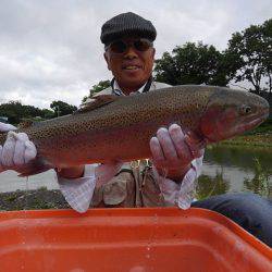 つりぼりあかし 釣果