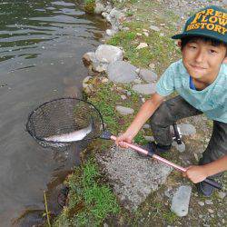つりぼりあかし 釣果