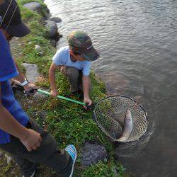 つりぼりあかし 釣果