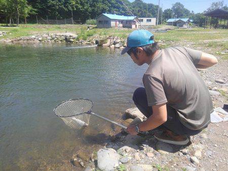 つりぼりあかし 釣果