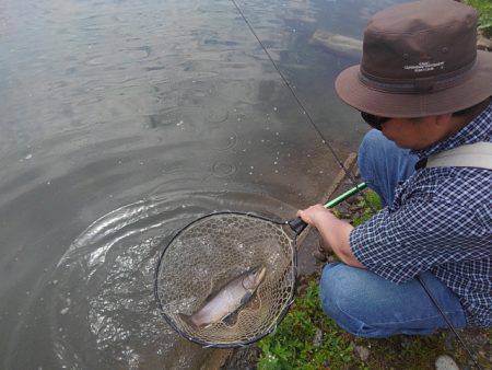 つりぼりあかし 釣果
