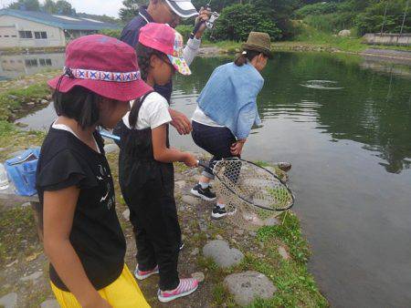 つりぼりあかし 釣果