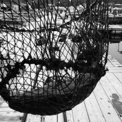 海の釣堀 海恵 釣果