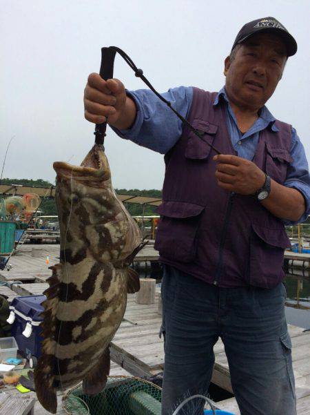 海の釣堀 海恵 釣果