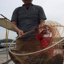 海の釣堀 海恵 釣果
