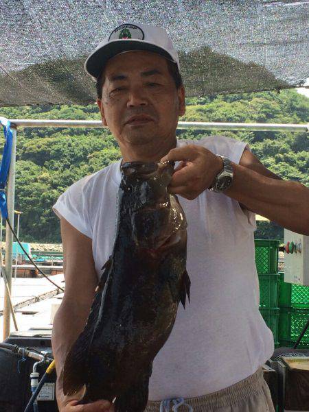 海の釣堀 海恵 釣果