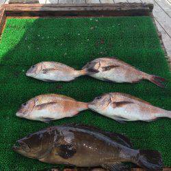 海の釣堀 海恵 釣果