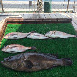 海の釣堀 海恵 釣果