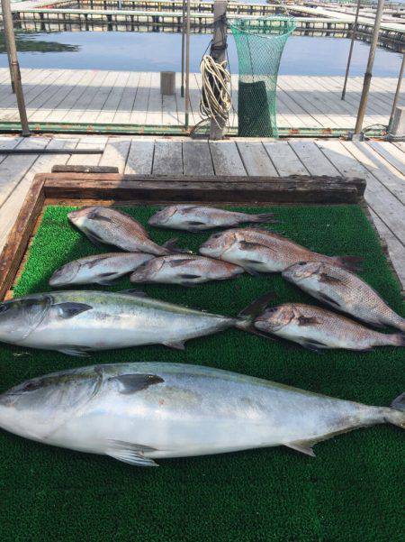 海の釣堀 海恵 釣果