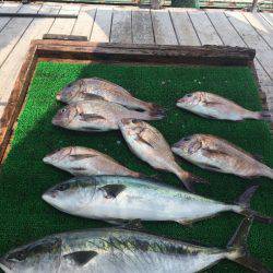 海の釣堀 海恵 釣果
