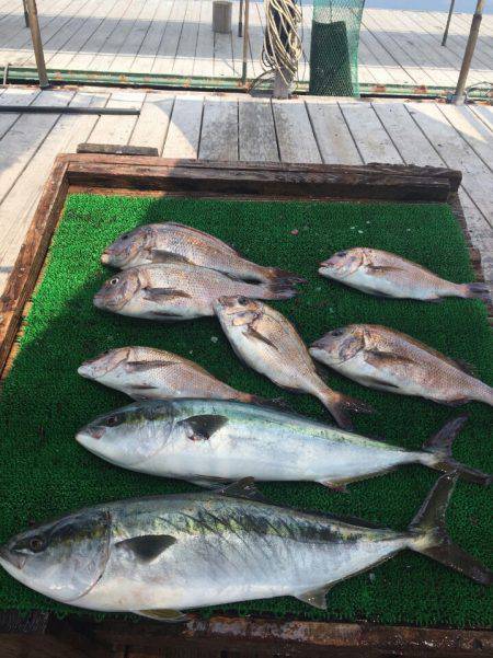 海の釣堀 海恵 釣果