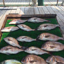 海の釣堀 海恵 釣果