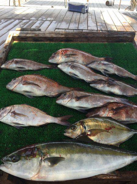 海の釣堀 海恵 釣果