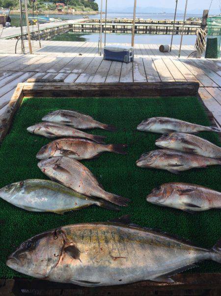 海の釣堀 海恵 釣果