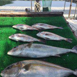海の釣堀 海恵 釣果