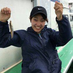 金沢八景鴨下丸 釣果