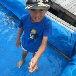 海の釣堀 海恵 釣果