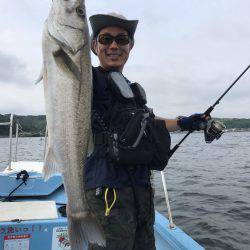 アマテラス 釣果