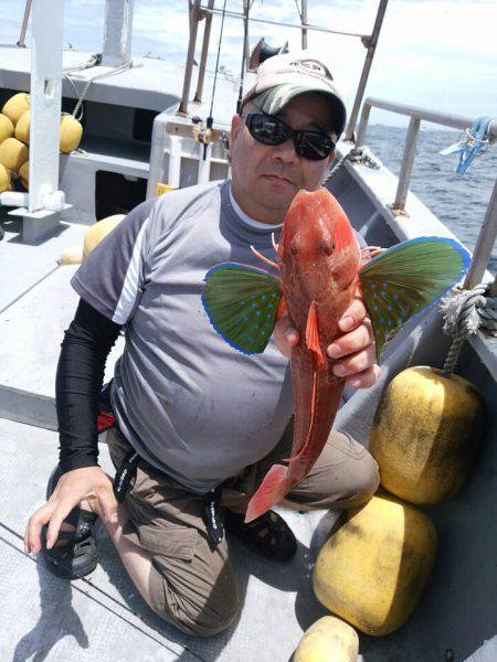 ありもと丸 釣果