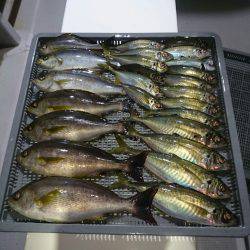 エンペラー 釣果