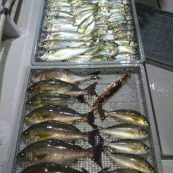 エンペラー 釣果