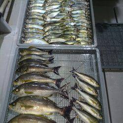 エンペラー 釣果