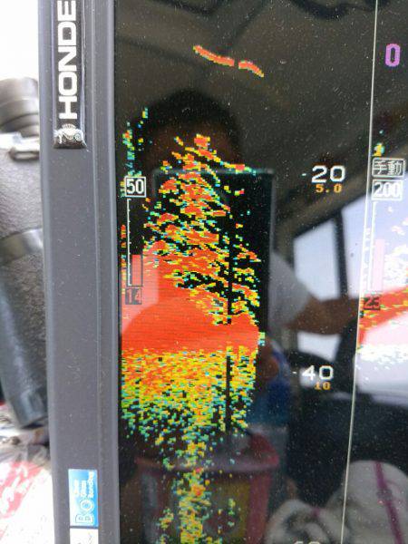 ありもと丸 釣果