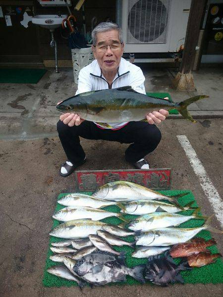 幕島丸 釣果