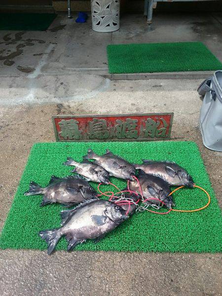 幕島丸 釣果