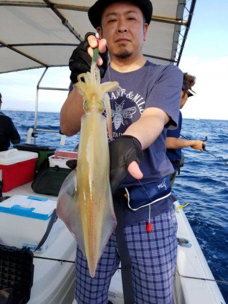 ソルトウォーターガイドフレンズ 釣果