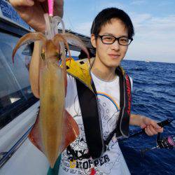 ソルトウォーターガイドフレンズ 釣果