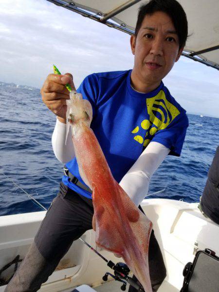 ソルトウォーターガイドフレンズ 釣果